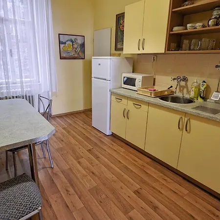 Kamil Apartments, Delux A, 65m2 * كارلوفي فاري